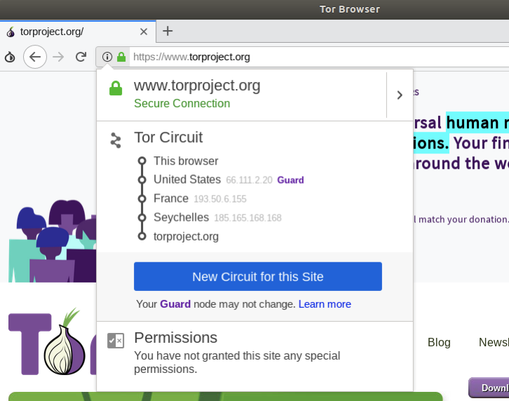 onion tor service